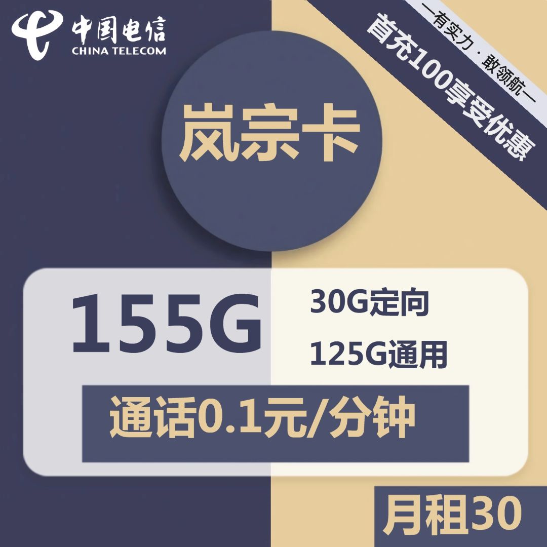 电信岚宗卡30元包125G通用+30G定向+通话0.1元/分钟