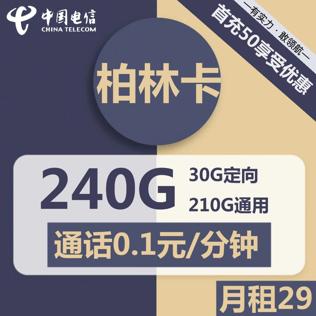 电信柏林卡29元包210G通用+30G定向+通话0.1元/分钟